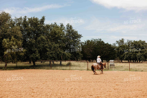 Cowboy and Horse in Arena 281080