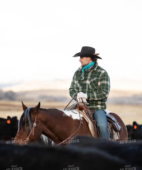 Rancher Herding Cattle on Horseback 219072
