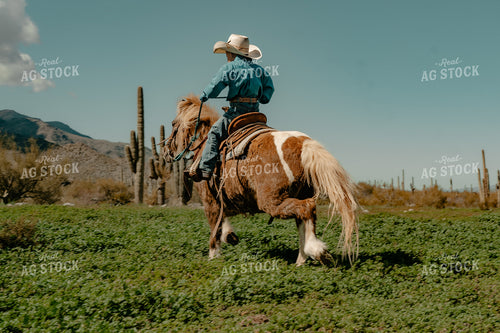 Rancher Kid on Horseback 58291