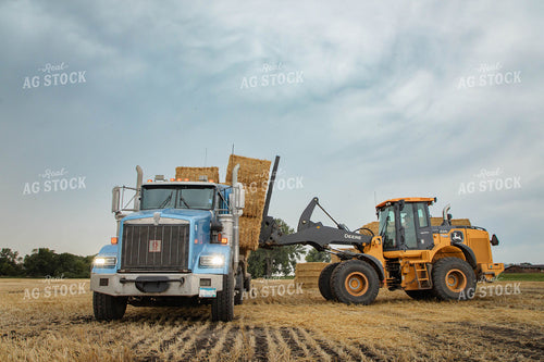 Stacking Wheat Straw Bales 152596