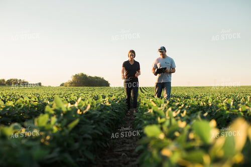 Agronomist and Farmer Scouting Soybean Field 6120