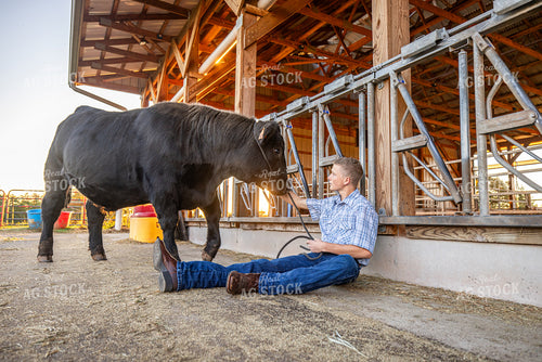 Farm Kid with Show Cow 270404
