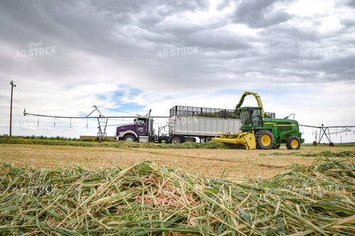 Making Haylage 56435