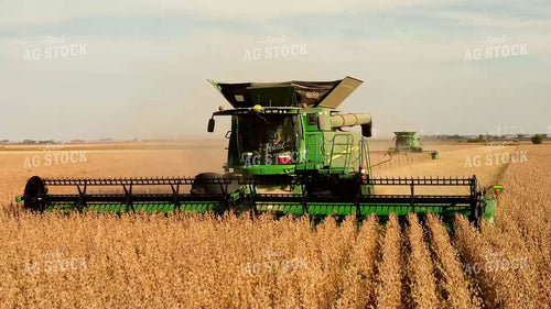 Soybean Harvest 287002