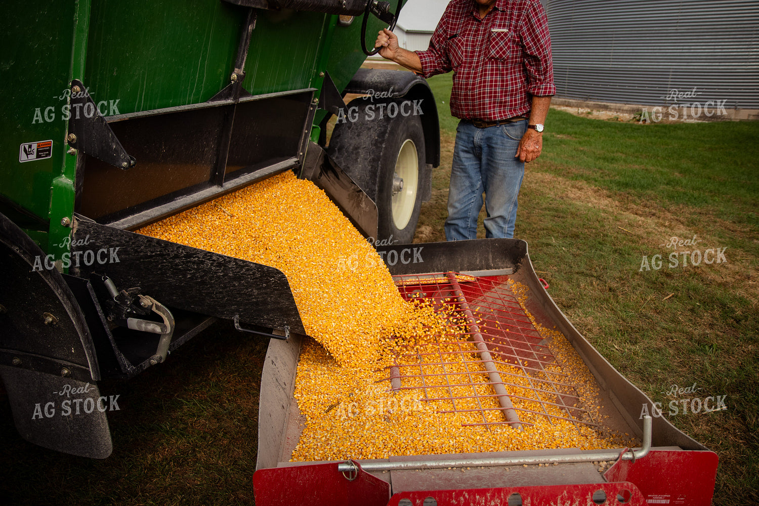 Unloading Harvested Corn 268164