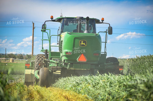 Cutting Wheat 56143