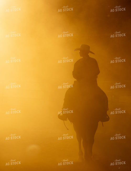 Cowboy at Sunset 290041