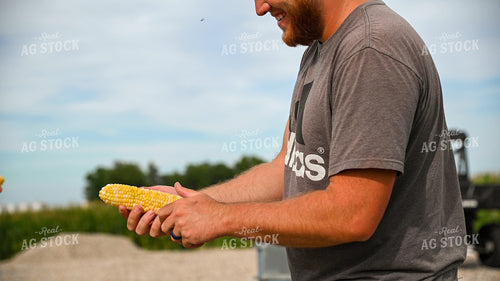Family Shucking Sweet Corn 25261