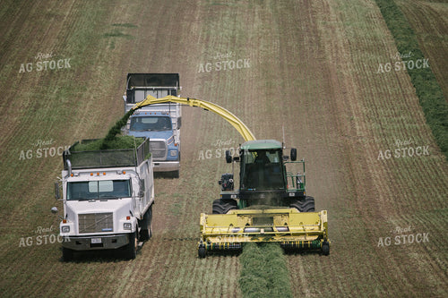 Harvesting Hay Silage 70076
