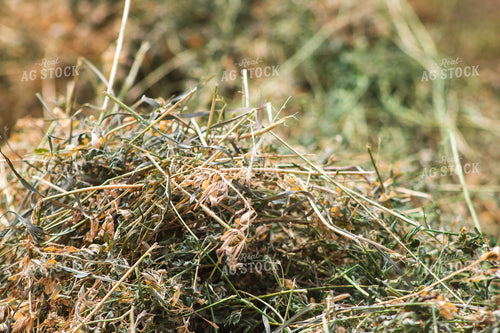 Cut Hay 214077