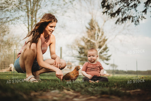 Farmer with Young Chickens 5584