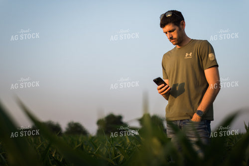 Young Farmer Using Phone in Corn Field 8168