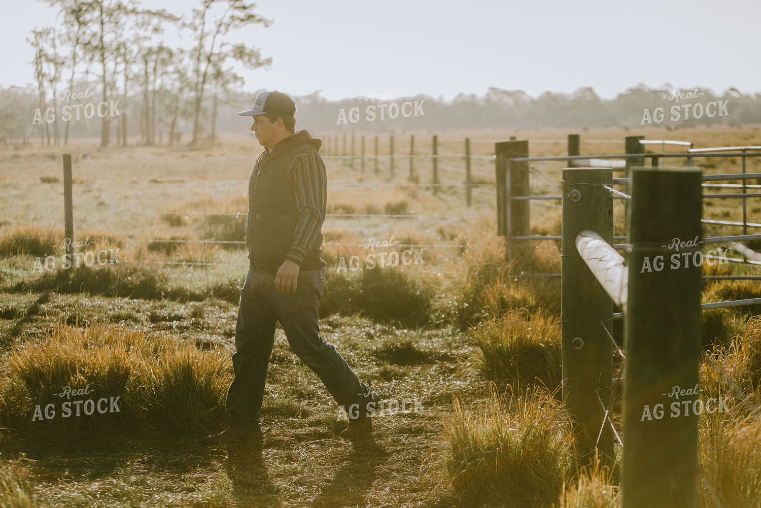 Rancher In Pasture 7300