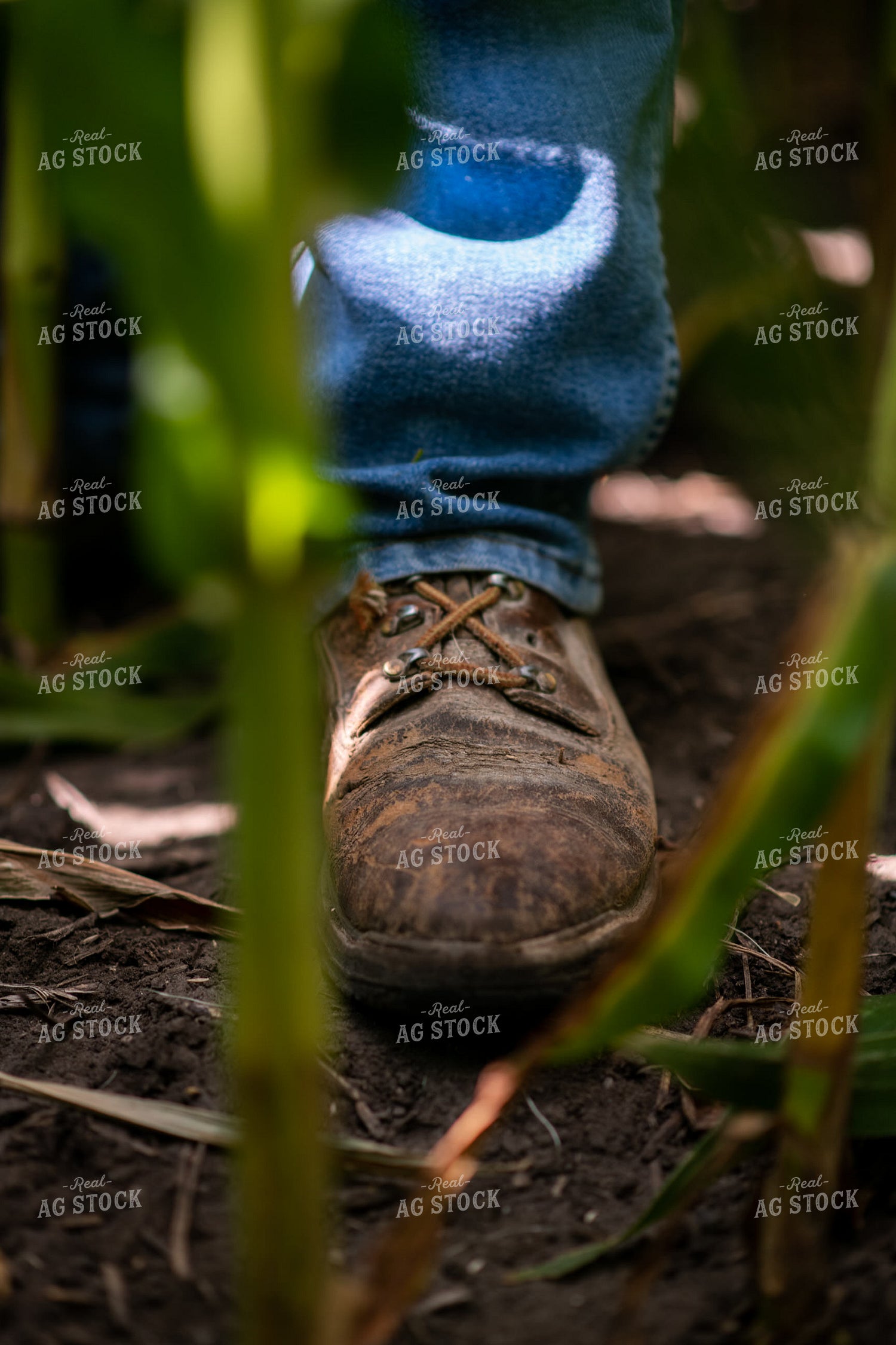 Boots 76705