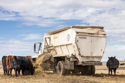 Feeding Cattle 72195