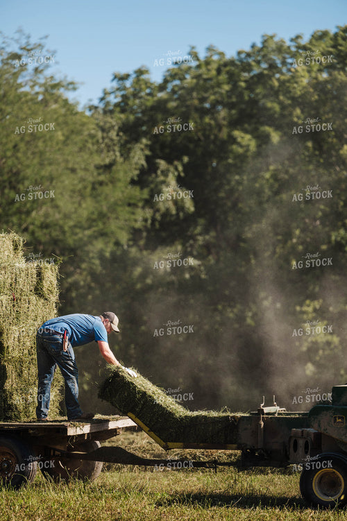 Farmer Throwing Hay Bales 115326