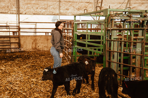 Female Farmer with Calf 67662