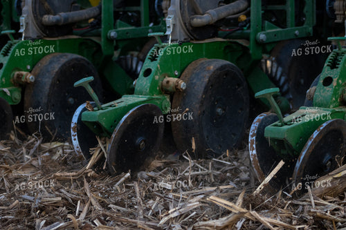 Planting at Sunset 52151