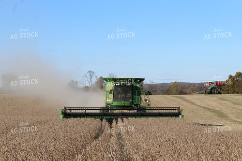 Combine Harvesting Soybeans 52060