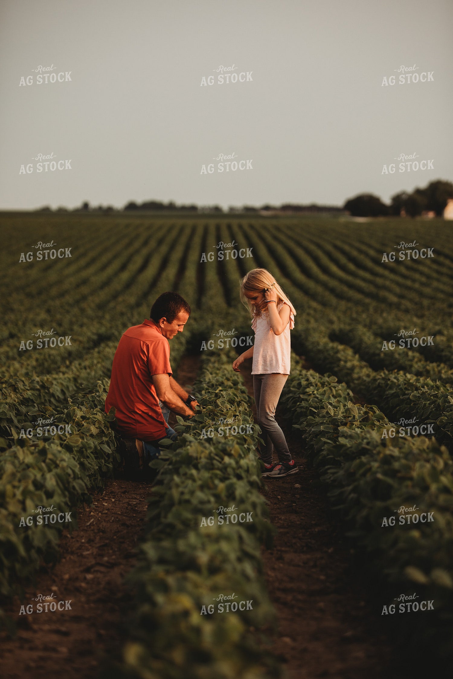 Farmer and Farm Kid Checking Crops in Soybean Field 4580