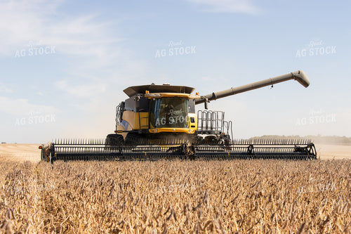 Soybean Harvest 255020