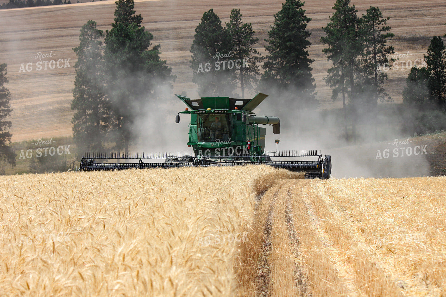 Wheat Harvest 188070