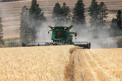 Wheat Harvest 188070