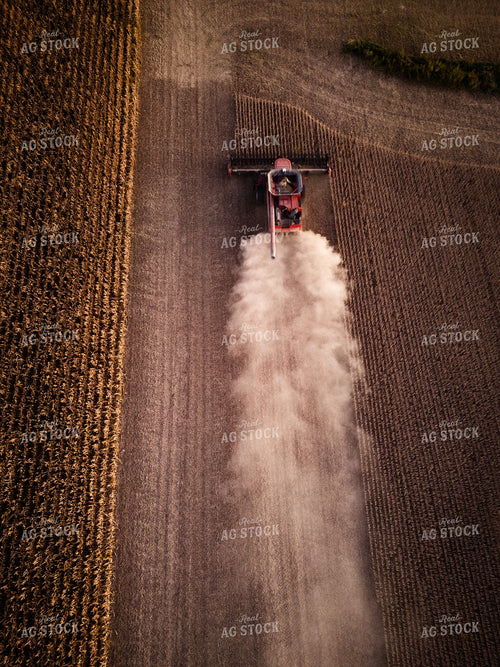Soybean Harvest 67952
