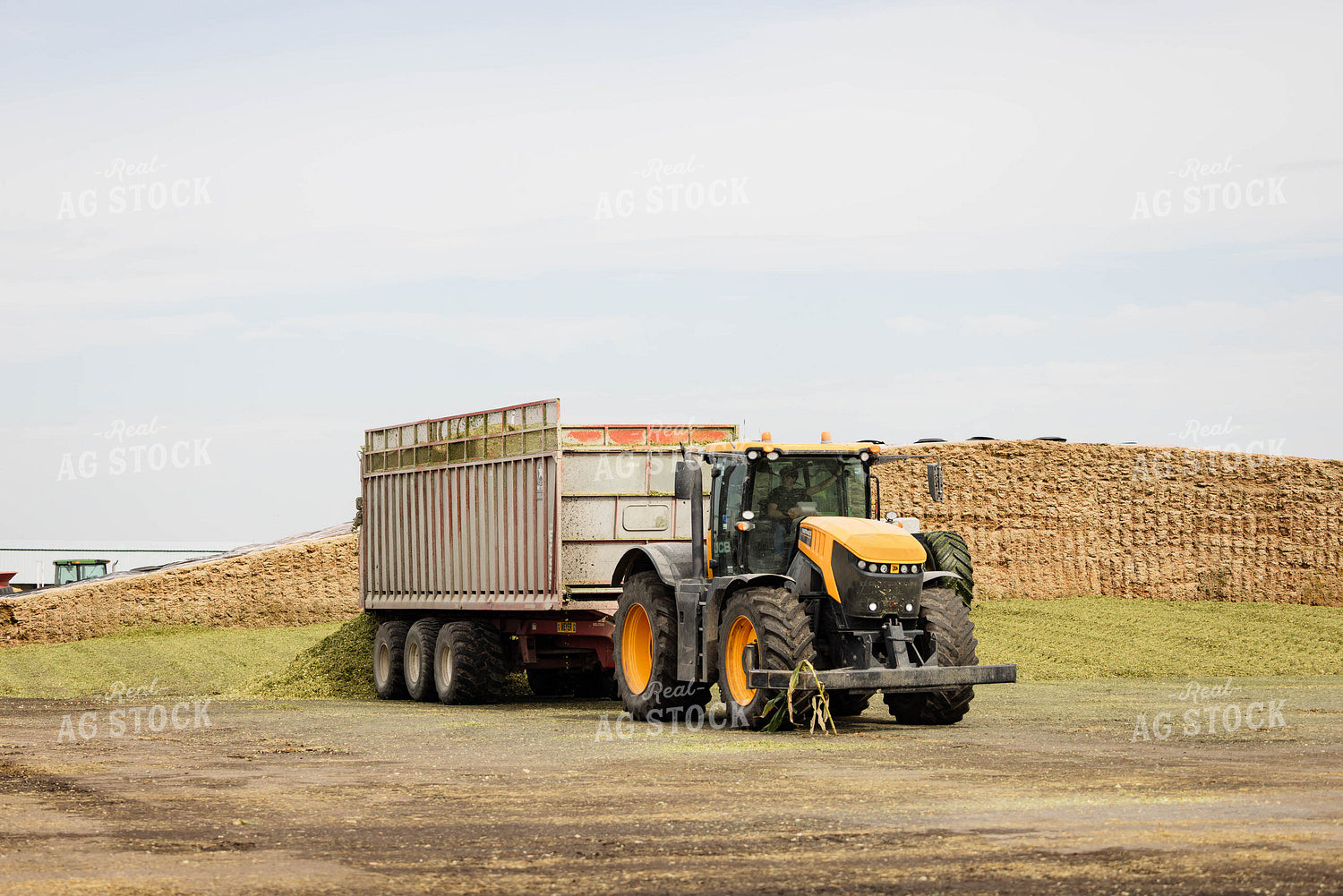 Unloading Silage 152941