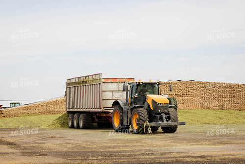 Unloading Silage 152941