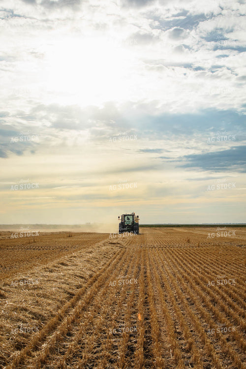 Baling Wheat Straw 152585