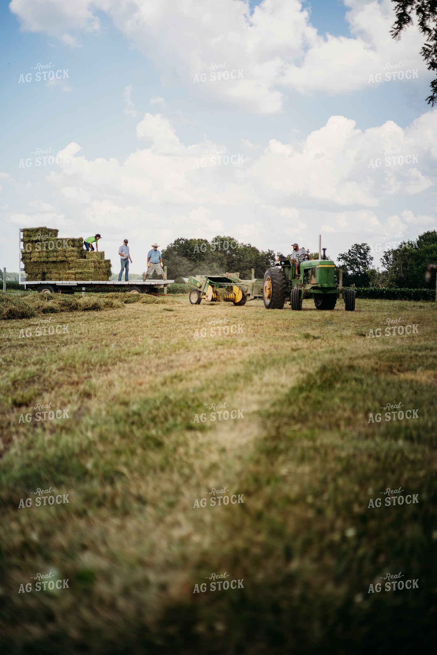 Baling Square Hay Bales 281027