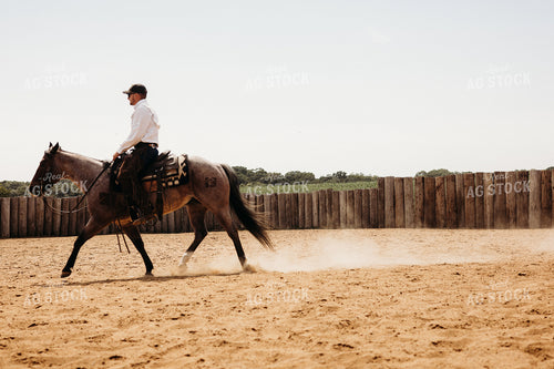 Riding Horse in Arena 281092