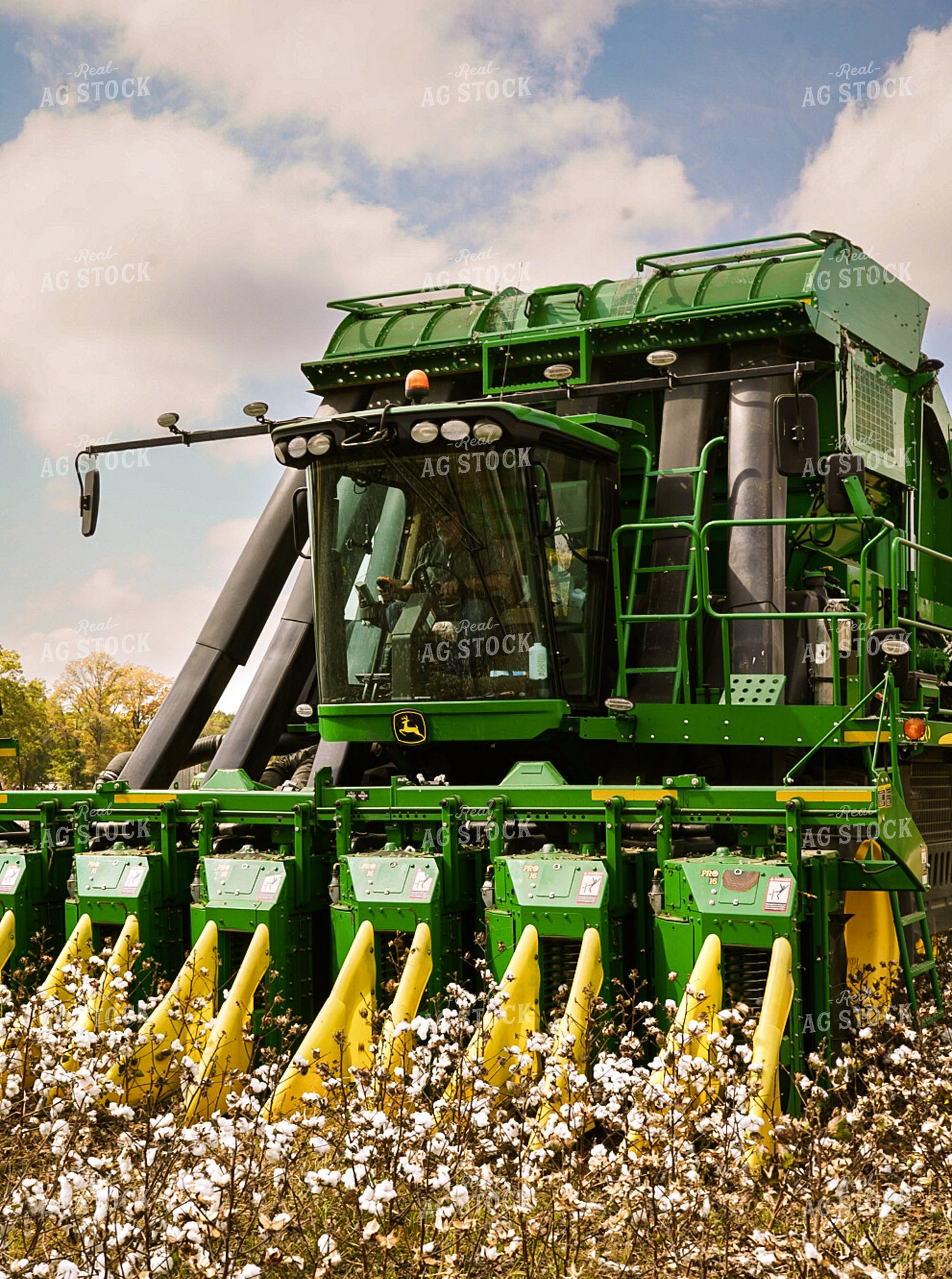 Cotton Picker in Field 128006 – Real Ag Stock