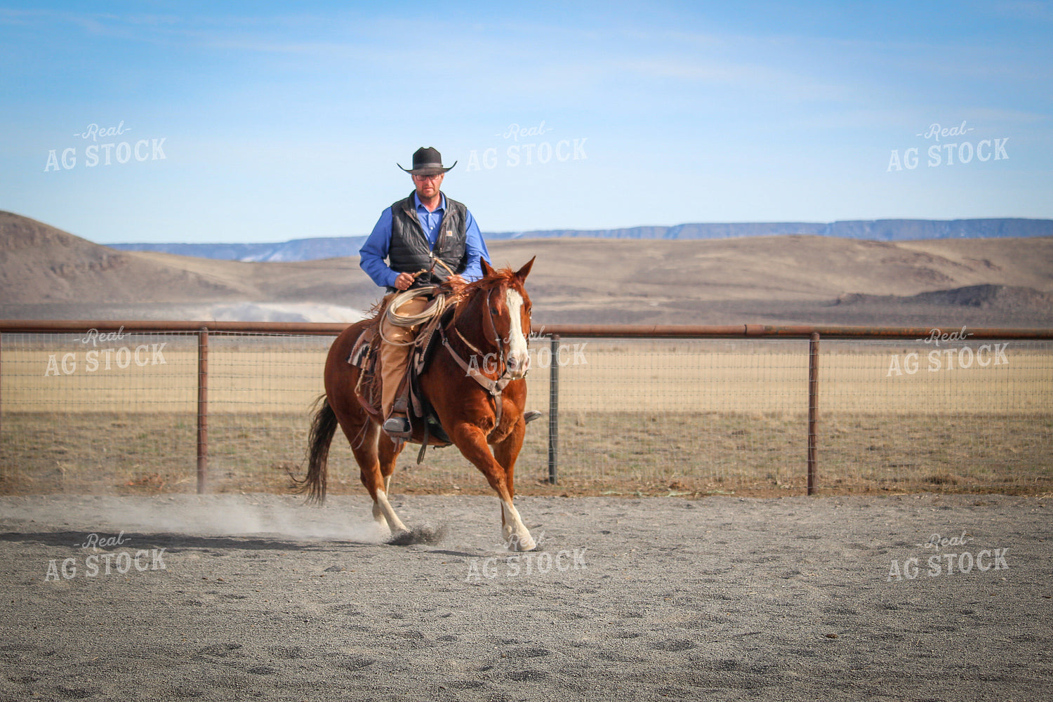 Male Rancher on Horse 78037