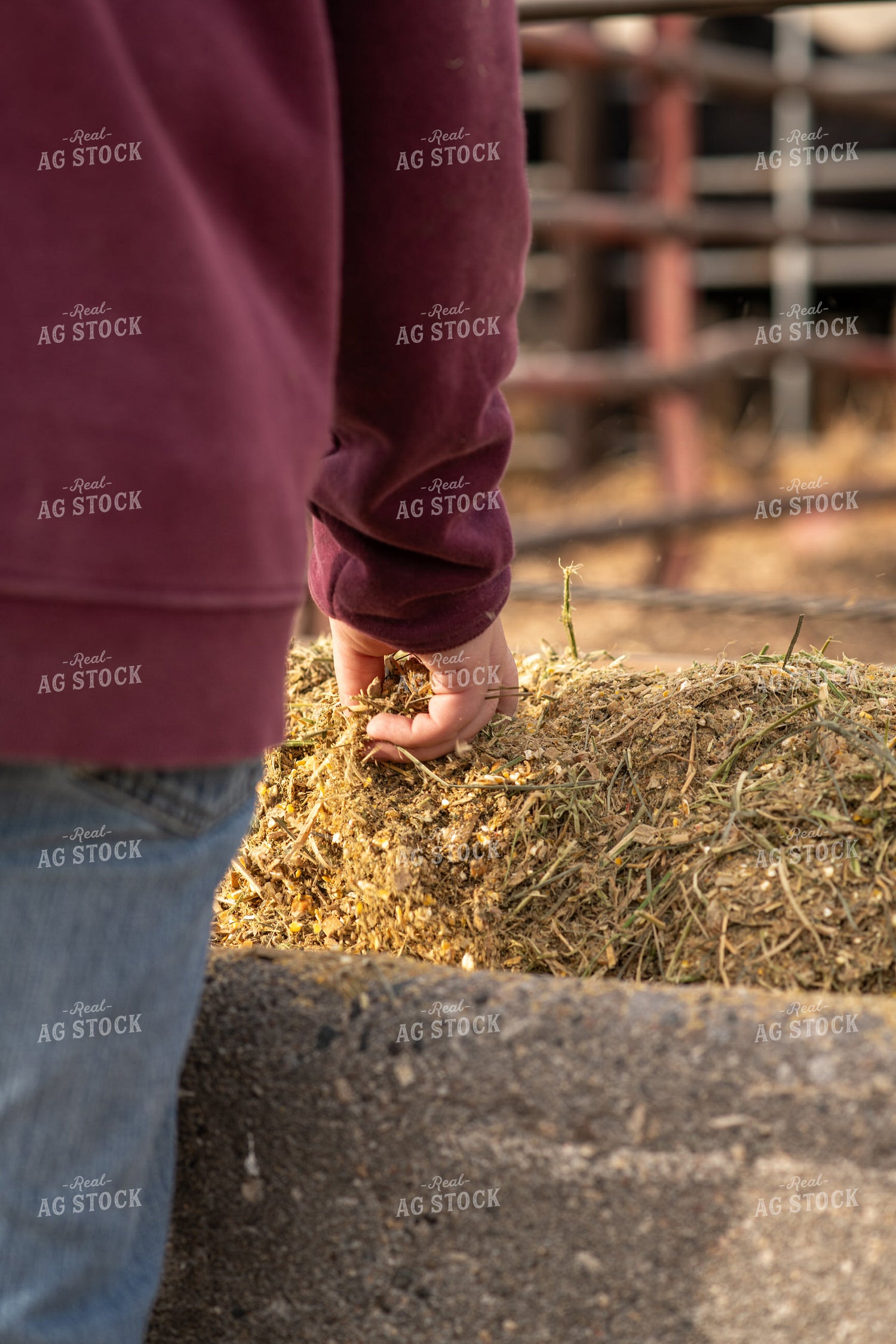 Farmer with Total Mixed Ration 76629