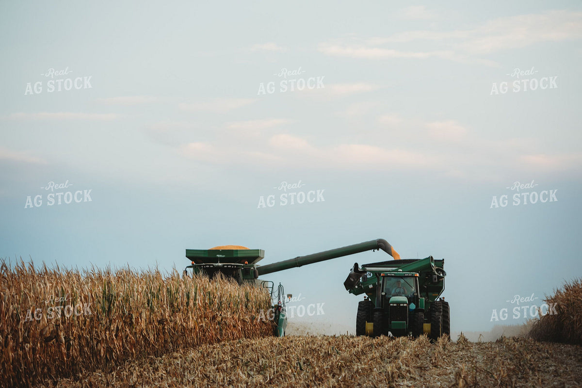 John Deere Tractor and Grain Cart Unloading on the Go During Corn Harvest 400002