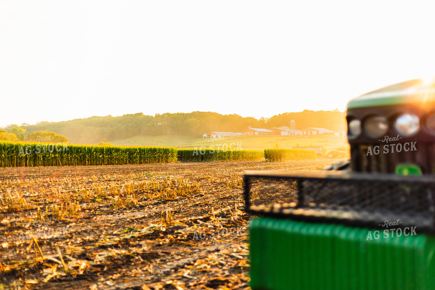 Corn Silage Harvest 272050