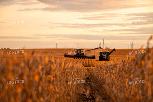 Combine Unloading Soybeans into Auger Wagon on the Go 25702