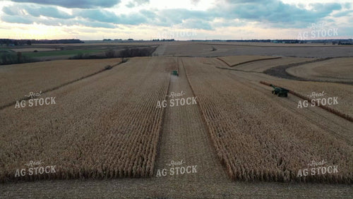 Aerial of Corn Harvest 250034