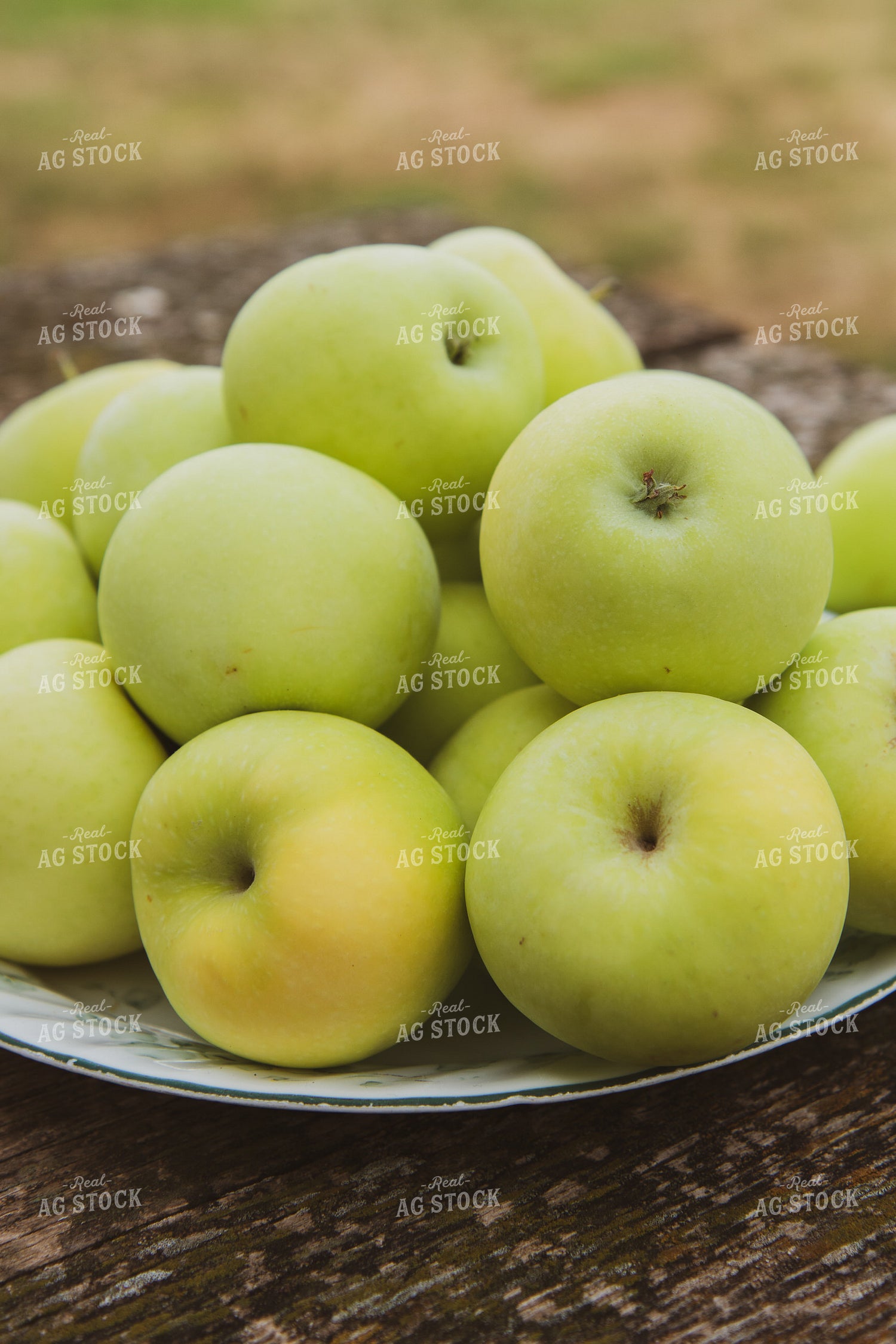 Apples 67837