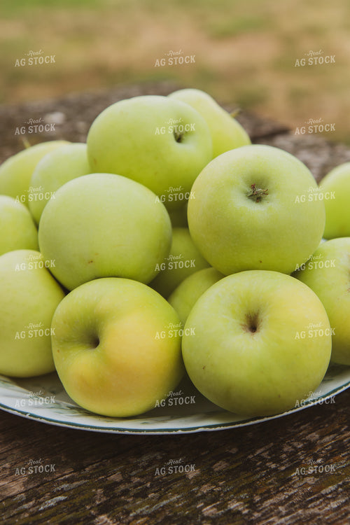 Apples 67837