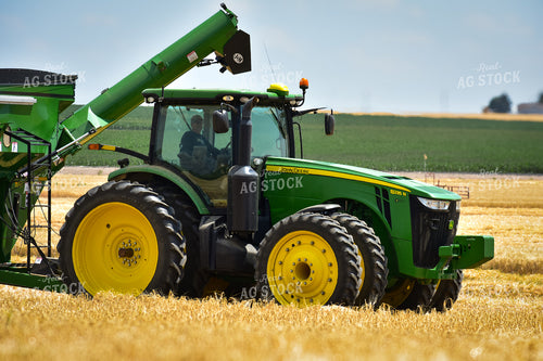 Wheat Harvest 148036