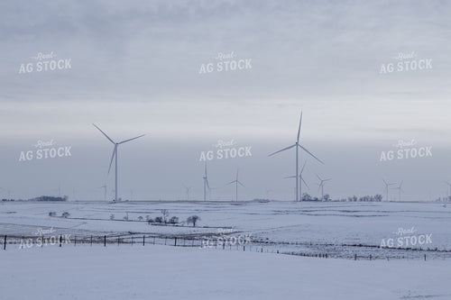 Snowy Pasture 67184