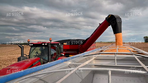 Grain Cart Unloading into Semi - 474