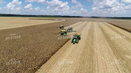 Harvesting Corn Two Combines and Grain Carts Drone 80052
