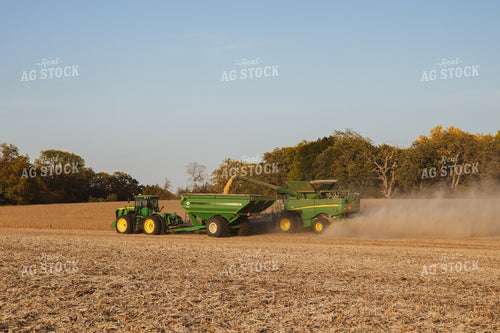 Soybean Harvest 67281