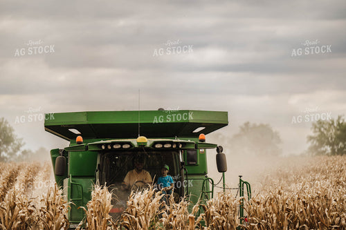 Corn Harvest 115347