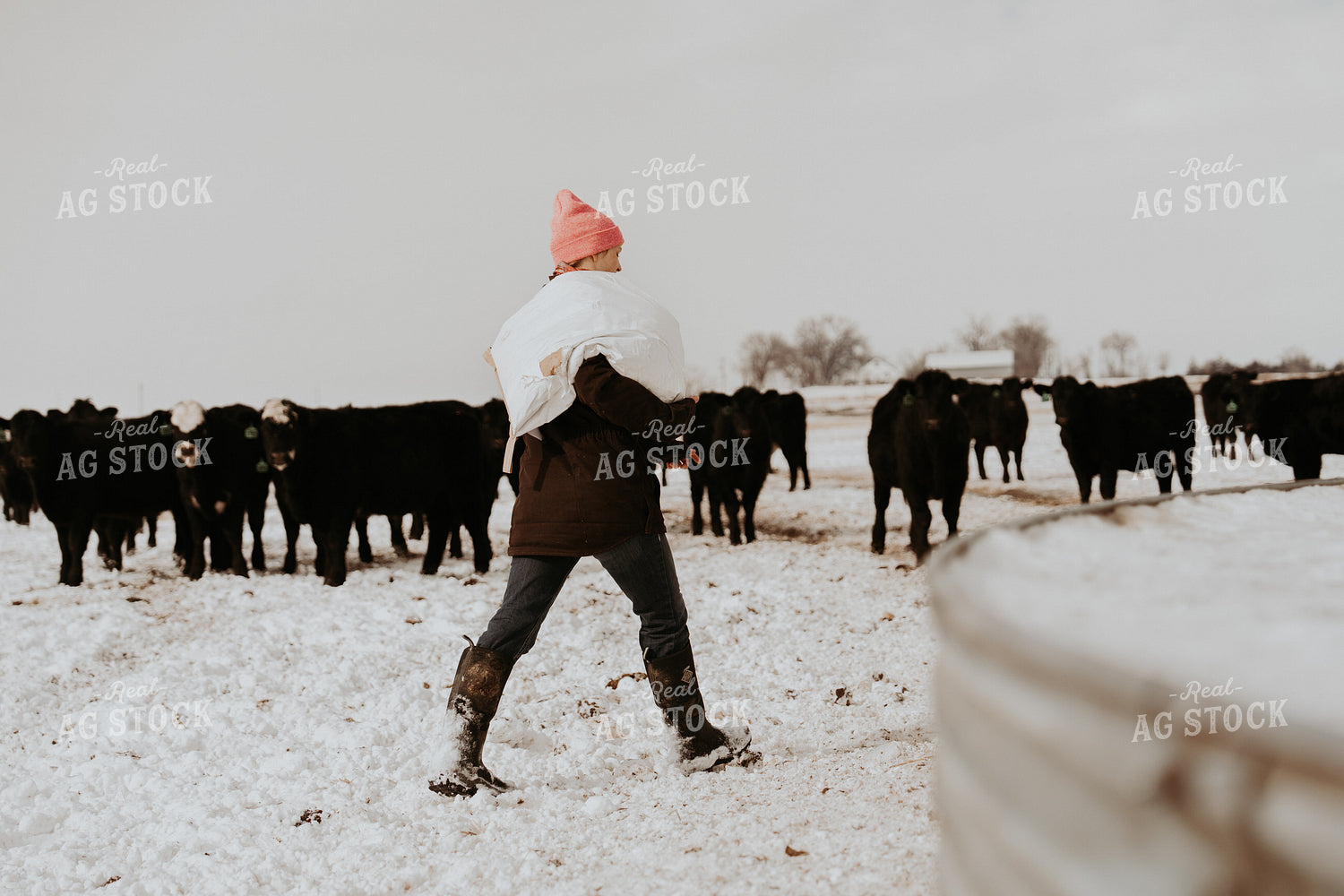 Female Rancher Feeding Supplements 61209