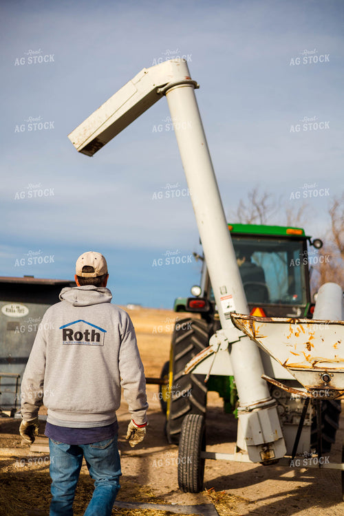 Grinding Corn to Feed Cattle 97267